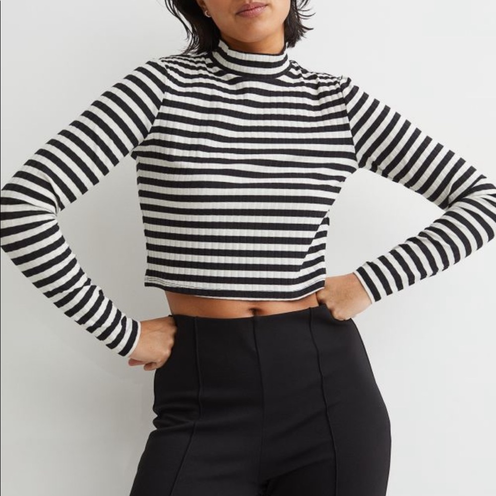 Ribbed Mock Turtleneck Crop Long Sleeve